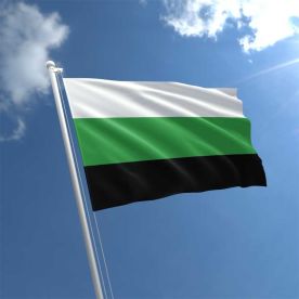 Neutrois Flag