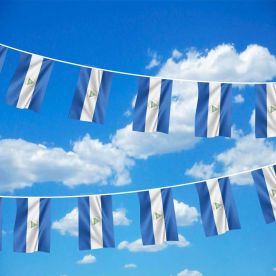 Nicaragua Bunting 