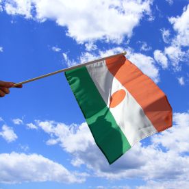 Niger Hand Waving Flag