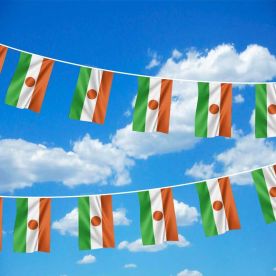 Niger Bunting