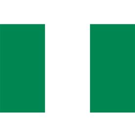 Big Nigerian flag