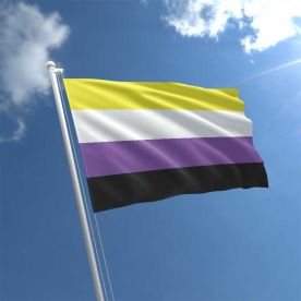 Non Binary flag
