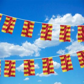 Northumberland Bunting 