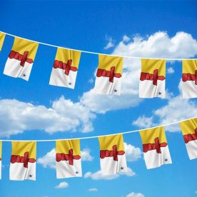 Nunavut Bunting