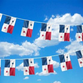 Panama Bunting 