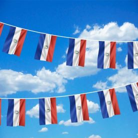 Paraguay Bunting
