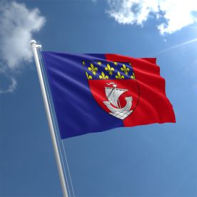 Paris Flag