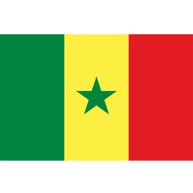 Big Senegal Flag