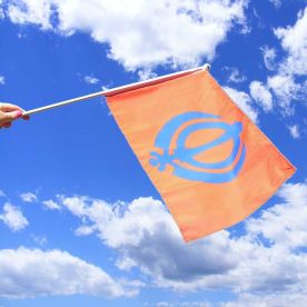 Sikh Hand Flag