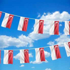 Singapore Bunting 