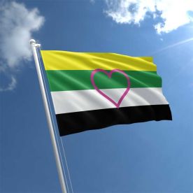 Skolisexual Flag