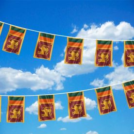 Sri Lanka Bunting