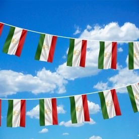 Tajikistan Bunting