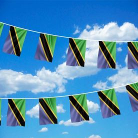 Tanzania Bunting