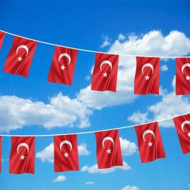 Turkey Bunting 