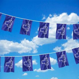 Tyne & Wear Flag Bunting