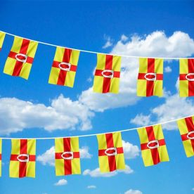 Ulster Bunting 
