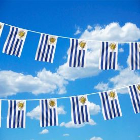Uruguay Bunting