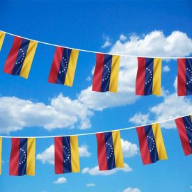 Venezuela Bunting