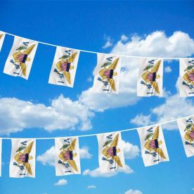Virgin Islands Bunting