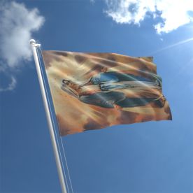 Virgin Mary Flag
