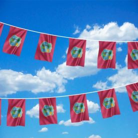 West Indies Bunting