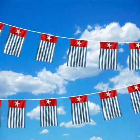 West Papua Bunting