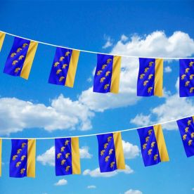 West Sussex Bunting