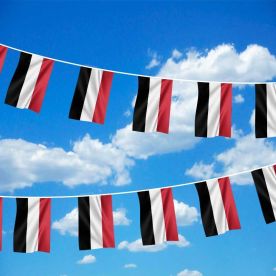 Yemen Bunting 