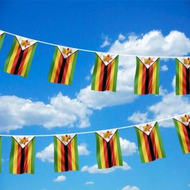 Zimbabwe Bunting