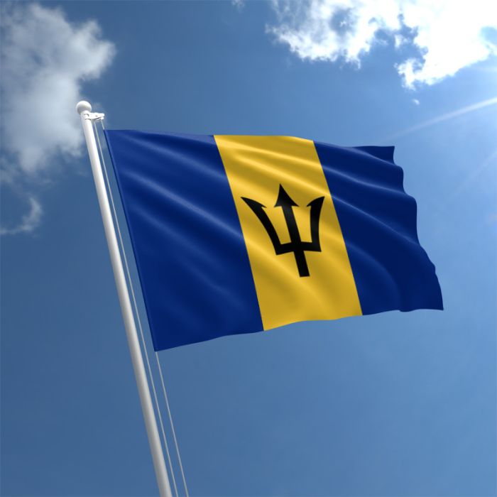Barbados Flag Buy Flag of Barbados The Flag Shop