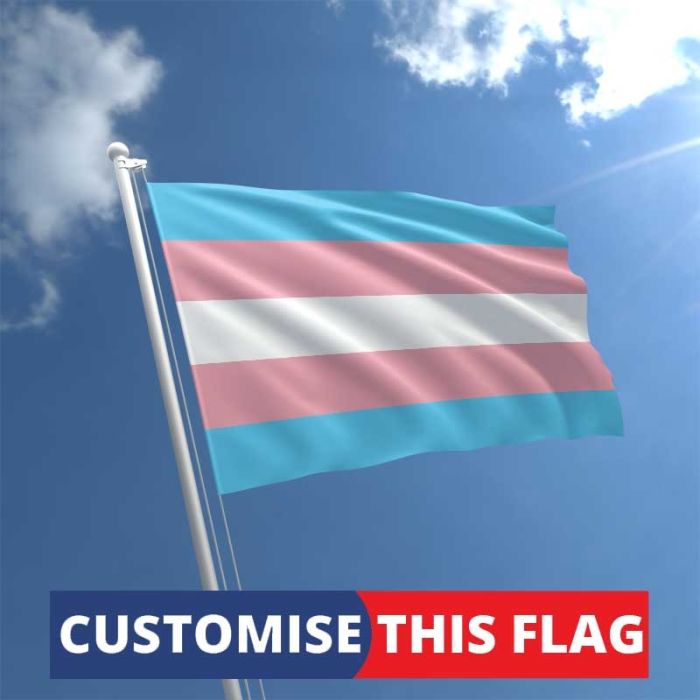 Handheld Trans Flag
