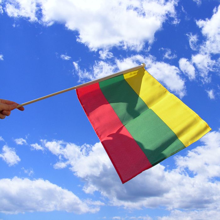 Lithuania hand waving flag | buy Lithuania hand flag | The Flag Shop