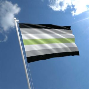 Agender Flag