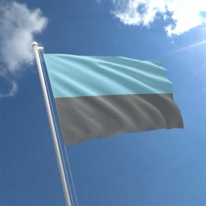 Autosexual Flag