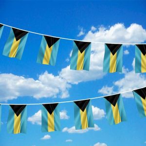 Bahamas Bunting 