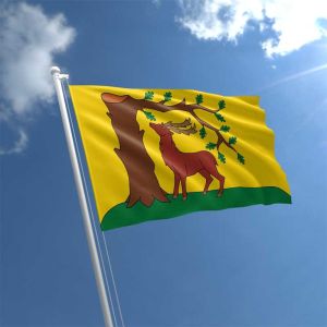 Berkshire Flag