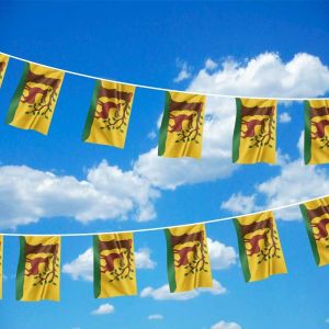 Berkshire Flag Bunting