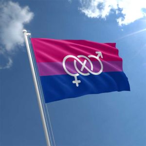 Bi Pride Symbol Flag