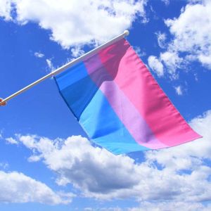 Bi Pride Hand Flag