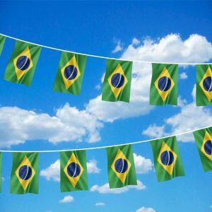 Brazil Bunting