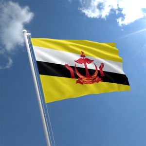 Brunei Flag