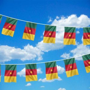 Cameroon Bunting