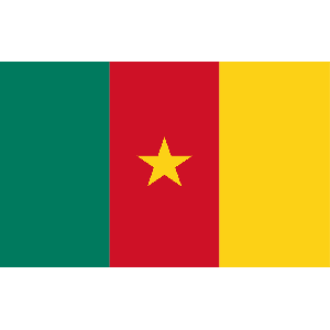 Cameroon Flag 8Ft X 5Ft