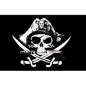 Crossed Sabres Flag