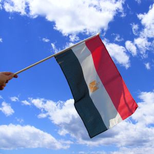 Egypt Hand Waving Flag
