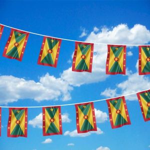 The Flag Wholesaler Festone Bandierine Grenada, 9 Metri, Multicolore