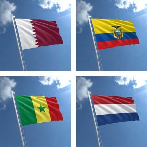 World Cup 2022 Group A flags