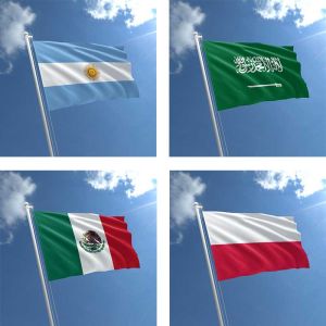 World Cup 2022 Group C flags