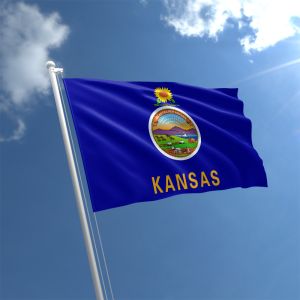 Kansas Flag